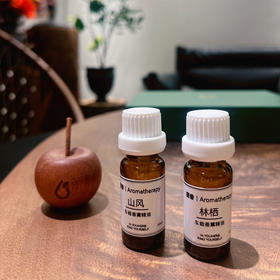 上新「随行」车载香薰套装 山风与林栖