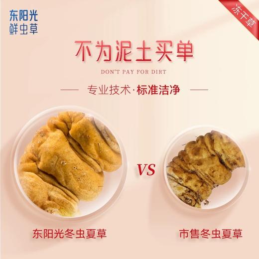 东阳光补己冬虫夏草3克礼盒送礼营养品补品滋补 商品图4