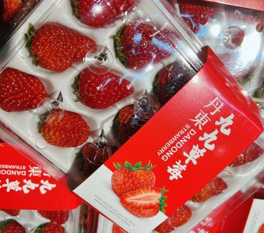 【地标好货】正宗丹东99草莓两种包装随机顺丰包邮【仅发京津冀】*3盒 商品图3