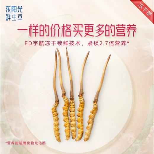 东阳光补己冬虫夏草3克礼盒送礼营养品补品滋补 商品图1