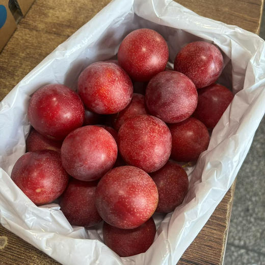 必入推荐！空运！进口樱桃李，鲜甜多汁！吃起来既像大号金车，又有李子风味，软硬都各具特色 商品图0