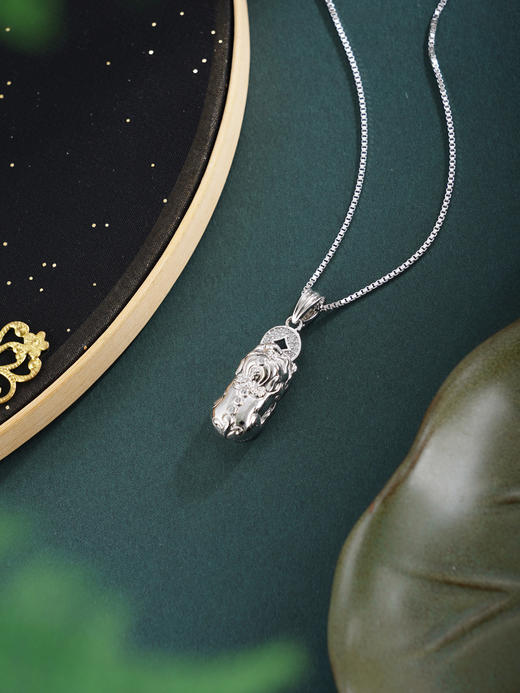子佩集【貔貅护心】银S925套链【FYL-2212】项链时尚貔貅2601 商品图3