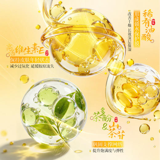 【3瓶装】KANGXUE康雪 山茶花籽精华油 以油养肤 权威抗皱紧致报告 无水配方 深度保湿 提亮肌肤 温和不刺激 30ml/瓶 商品图3