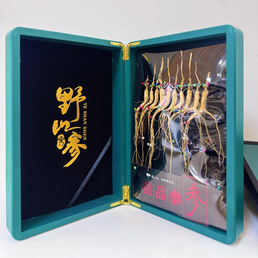 东北野山参 高档绿林参礼盒（10只装）参龄10-12年 商品图2