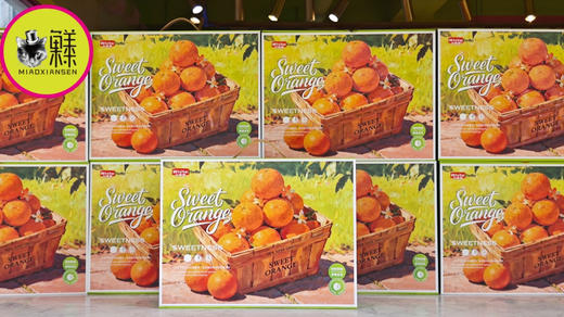 【稀有】巧克力橙🍊礼盒 商品图0