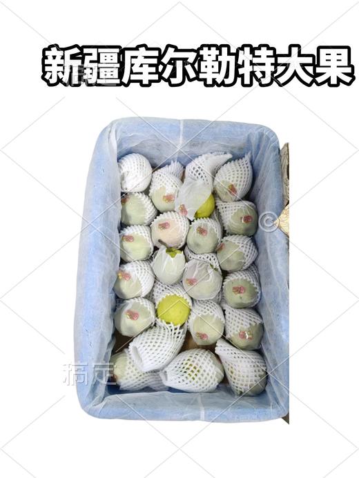 库尔勒特大果  梨  单果3两左右 商品图0