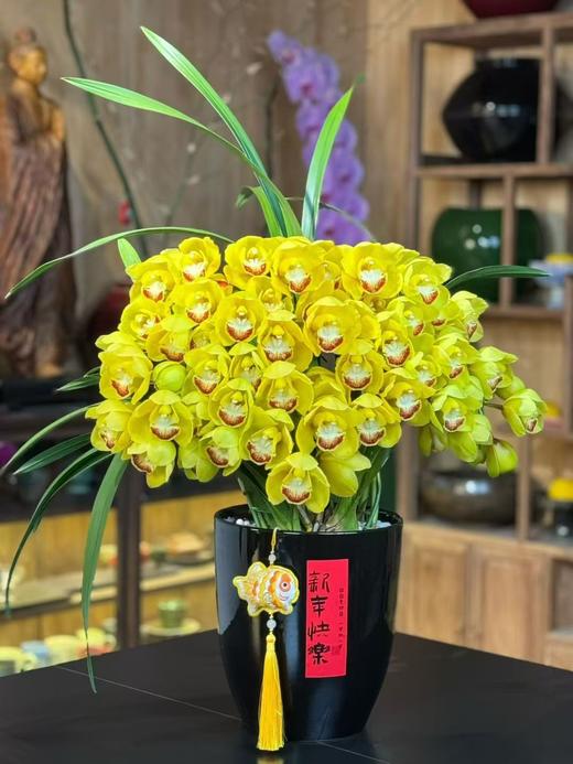 高端花卉紫馨拱兰专送香港澳门广州佛山珠三角地区 商品图4