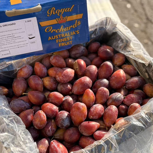 澳洲空运西梅 商品图3