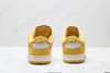 耐克NIKE DUNK LOW低帮休闲运动滑板板鞋IB4417-101男女鞋 商品缩略图5