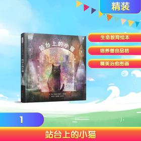 站台上的小猫