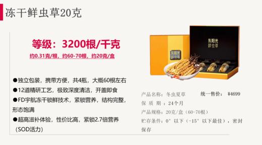 东阳光冬虫夏草冻干鲜虫草高档礼盒20克 商品图7