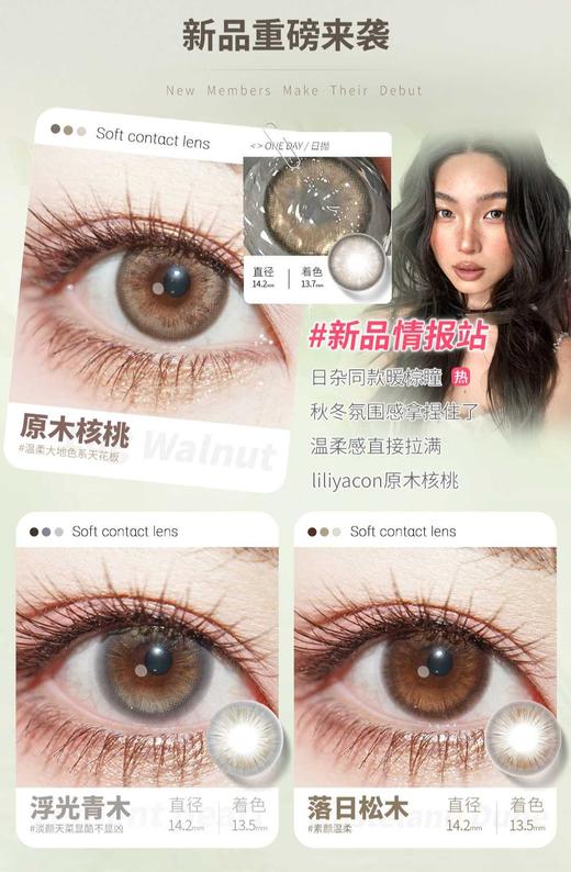 liliyacon 日抛6片装59/1盒99/2盒169/4盒219/6盒,原木核桃浮光青木落日松木 商品图2