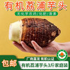 【厂商直发】广西有机荔浦大芋头香芋3斤/5斤粉嫩甜糯包邮 商品缩略图0