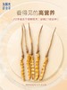 东阳光冬虫夏草冻干鲜虫草高档礼盒20克 商品缩略图3
