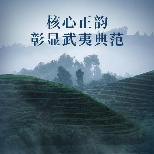 华祥苑 国缤茶 六星 大红袍 茶叶 礼盒 商品图2