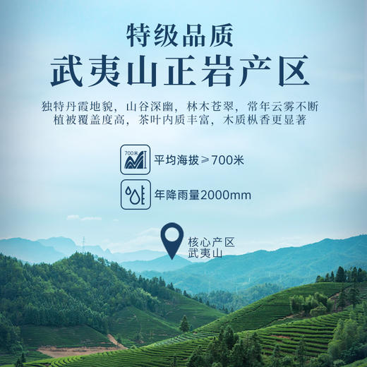 华祥苑 国缤茶 老枞水仙 武夷山正岩茶 6罐装 礼盒 商品图2