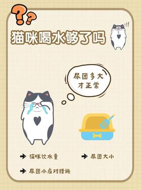 猫咪喝水够了吗？最准的方法在这里！