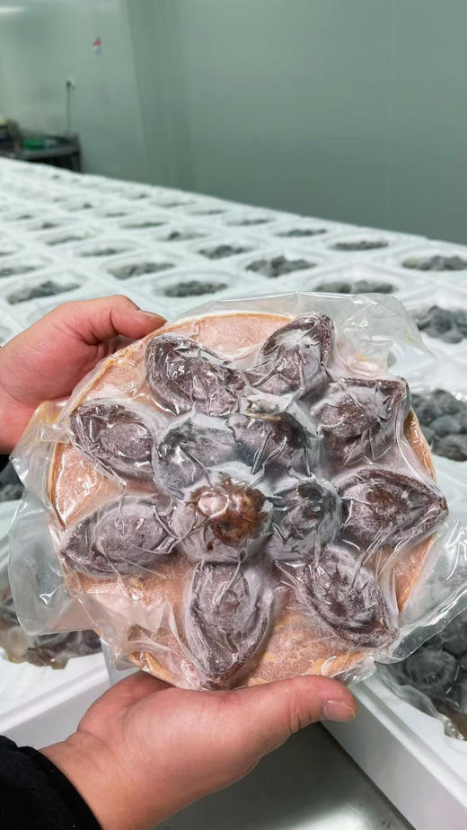 五福临门 八方来财 大盆菜 商品图2