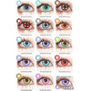 【试戴片】DOYA日抛 清仓特价① 景泰蓝/罗兰紫/日暮金/渡鸦粉/KING紫/天秤蓝/耀光金/魔力紫/烈焰红/摩登绿/星籁粉/曙光金 COS同款 未定事件簿 星星眼/纽扣眼 显色美瞳 商品缩略图3