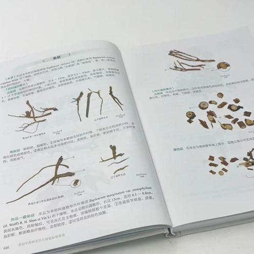 常用中药材及饮片验收标准图谱 商品图2