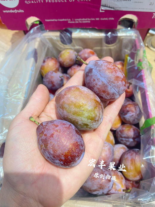 【宏丰精选】西梅新鲜到货  口感纯甜 肉厚 商品图6
