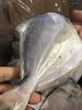 周三取货：【吕四鲳鱼】一袋1斤左右，约 5-6条 ，肉质超级细嫩，深海捕捞，纯正野生！ 商品缩略图1