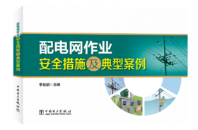 配电网作业安全措施及典型案例