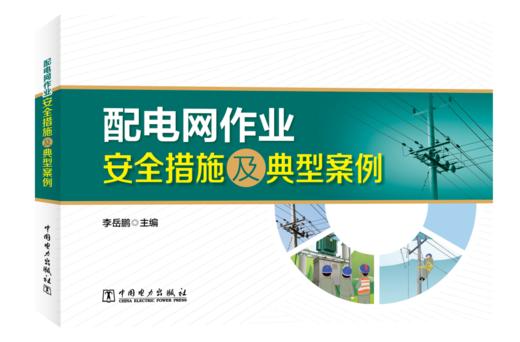 配电网作业安全措施及典型案例 商品图0