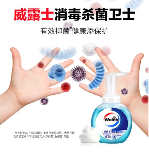 威露士泡沫洗手液300ml 商品图6