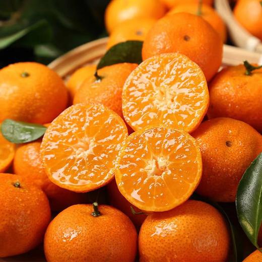 【福利❗️19.9抢3斤🔥广西沙糖桔】薄皮桔子砂糖橘小橘子新鲜包邮甜整箱柑橘当季水果整箱 商品图2