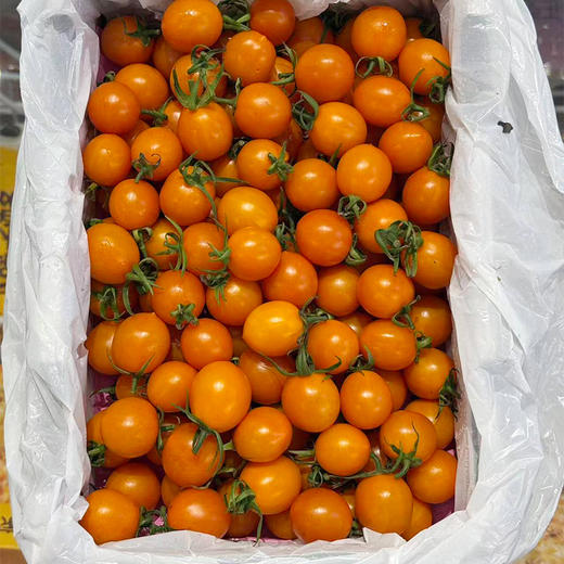 新鲜水果 芒果皇后千禧圣女果 1盒/净重2斤左右 商品图4