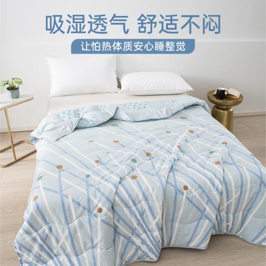 2026年春夏新款雅芳婷100%全棉夏凉被纯棉可机洗夏薄被透气空调被 商品图2
