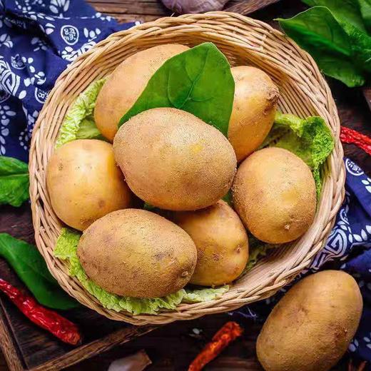 【香糯柔滑❗️新鲜营养】土豆洋芋挖白皮优质蔬菜马铃薯白心农家自种现挖新鲜。jd 商品图1