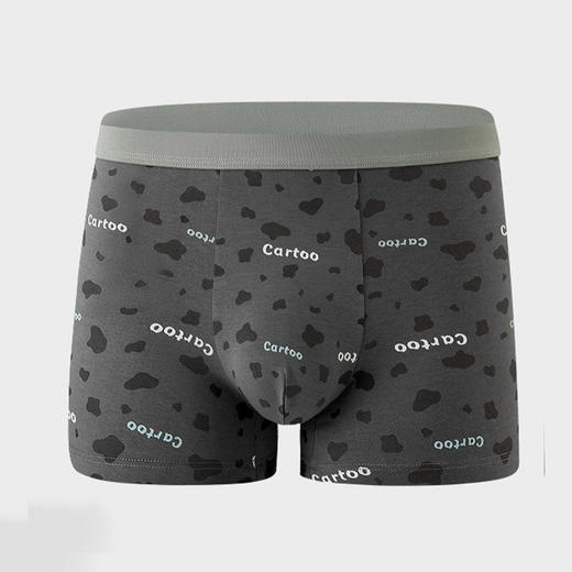 豹纹男内裤-纪念日百货门店同款166393457 商品图4