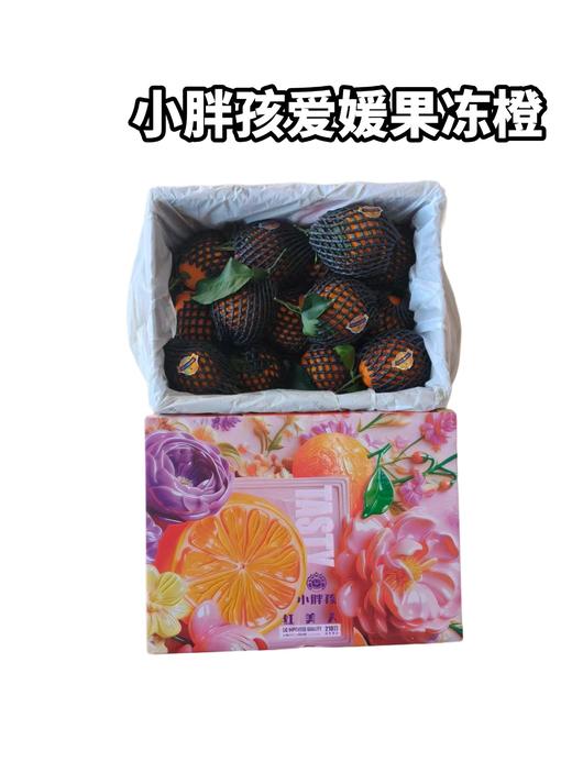 小胖孩爱媛果冻橙　整箱净7.5斤上下 商品图0