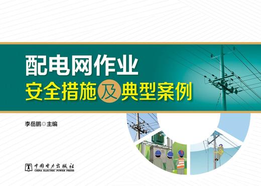 配电网作业安全措施及典型案例 商品图1