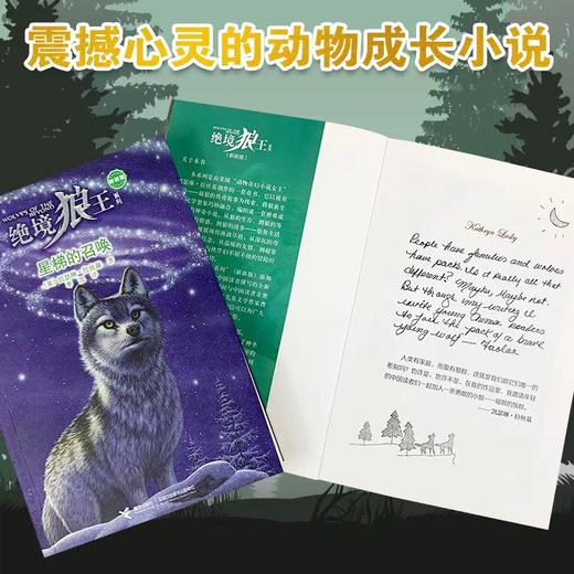 9岁+ 绝境狼王系列 新版  6册  接力社 商品图2