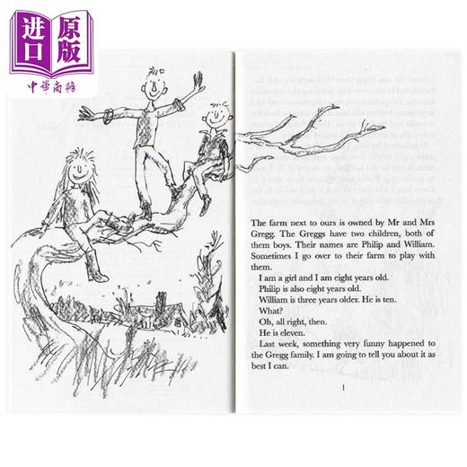 预售 【中商原版】the magic finger 魔法手指 英文原版 Roald Dahl罗尔德达尔 560L 7-12岁  经典儿童文学著作 课外阅读 可搭查理和巧克力工厂夏洛的网 商品图1