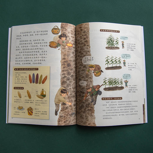 小农夫日记全4册儿童自然科普绘本田园生活启蒙读物 商品图2