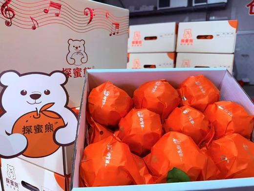 探蜜熊四川眉山耙耙柑原箱礼盒 商品图0