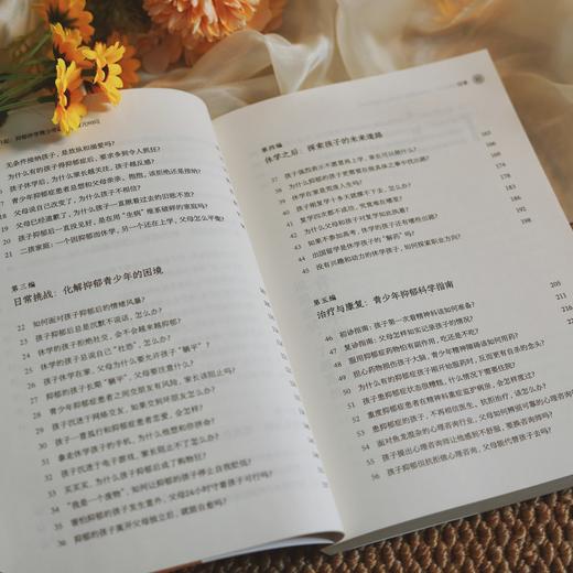 万千心理·太阳照常升起：抑郁休学青少年的生命复元60问 商品图9