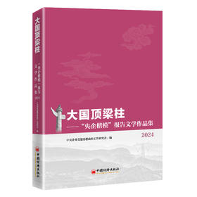 【官方旗舰店】大国顶梁柱——“央企楷模”报告文学作品集2024