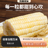 极客白糯玉米丨中科院特产，研究所新品种，软糯鲜甜，口口爆浆。⭐️圆通快递 商品缩略图0