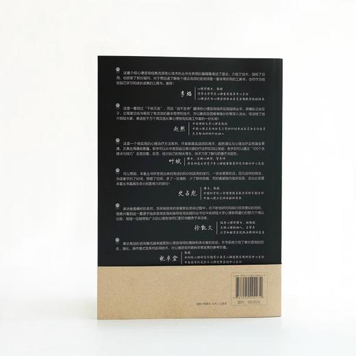 单次咨询：100 个关键点与技巧（原著第二版） 商品图3