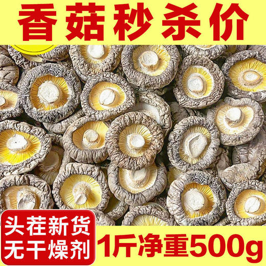【泡发率高❗️香味四溢】香菇干货肉厚无根干香菇新货菌菇香菇干。jd 商品图0