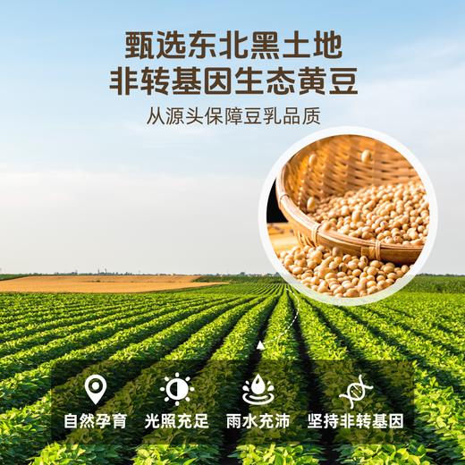 【0315晚直播】【全豆研磨】草牧里 全豆厚豆乳 168ml*12袋/箱 厚乳质地丝滑醇厚（早餐好物） 商品图2