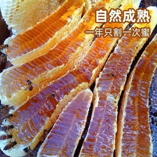 送勺子【自然成熟❗️天然营养】蜂场现切新老蜂纯巢蜜天然嚼着吃蜂巢蜜野生纯蜂蜜块。jd 商品图2