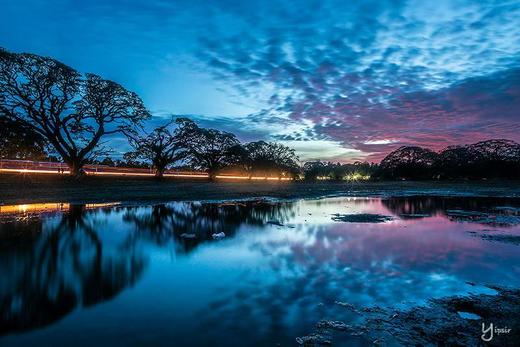 “一价全含”斯里兰卡“佛牙节”8天摄影团 商品图4