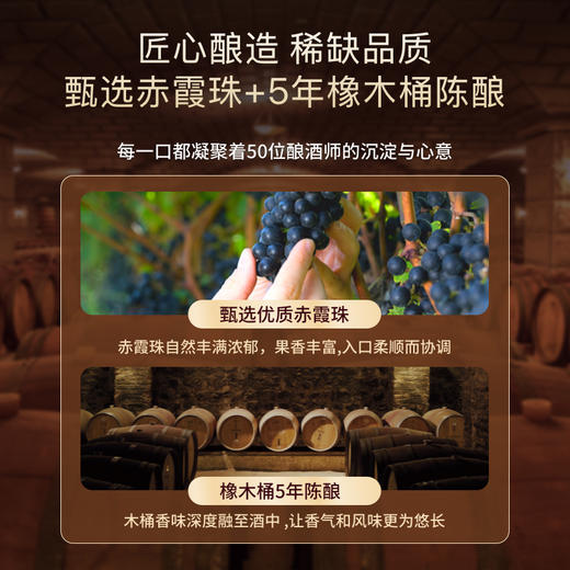 【智利红酒】华大原瓶进口TOPWINEMAKERS赤霞珠葡萄酒2018年750ml五年熟化14度干型含礼盒红酒送礼 商品图5