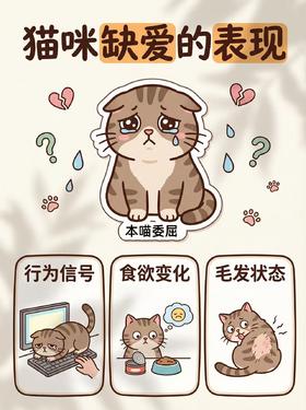 猫咪缺爱信号‼快看你家猫中了没